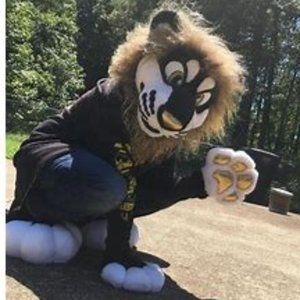 Lion partial fursuit